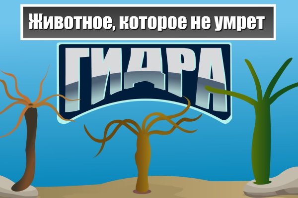 Кракен шоп нарк